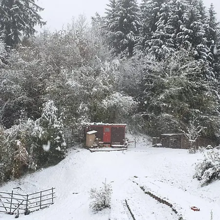 Campsite Gemuedlicher Bauwagen Rueckzugsort In Der *